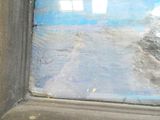 a cat that is looking out the window of a building