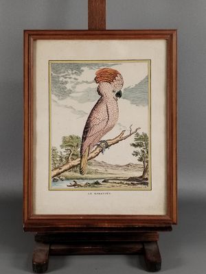une vieille photo représentant un oiseau perché sur un chevalet en bois