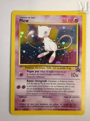 an image of a pokemon card with a cat on it