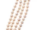 un gros plan d'un collier de perles sur fond blanc