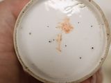 a person holding a white cup with a brown stain on it