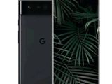 the back of a black google pixel phone with palm leaves on the screen