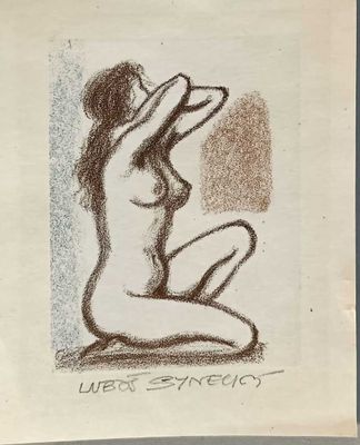 l'image d'un dessin d'une femme nue assise sur le sol