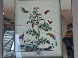 une photo d'une photo d'une plante sur laquelle on voit des papillons