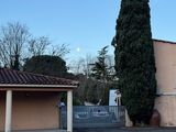 un grand arbre au milieu d'un parking