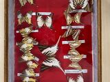 a picture of a picture of a collection of birds in a frame