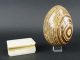 une image représentant un coquillage et une boîte posés sur une table