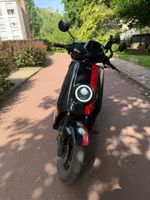 MTL SOLO NIU (photo 2)