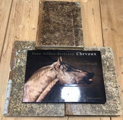 a picture of a picture of a horse on the floor