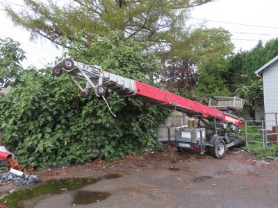 a crane that is sitting on top of a tree