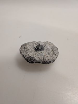 a small piece of rock sitting on a white surface