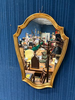 un miroir accroché au mur avec un oiseau dessus