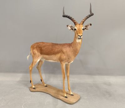 statue d'une antilope posée sur un socle en bois, sur fond gris