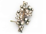 une image représentant une broche en forme de fleurs sertie de diamants, sur fond blanc