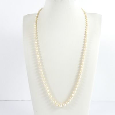 gros plan d'un collier sur un mannequin sur fond blanc