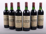 six bouteilles de vin alignées sur une surface blanche