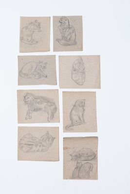 six dessins représentant des chats et un chien sur une feuille de papier