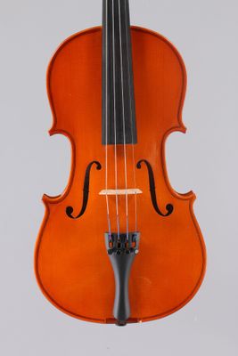 a close up of a violin on a white background