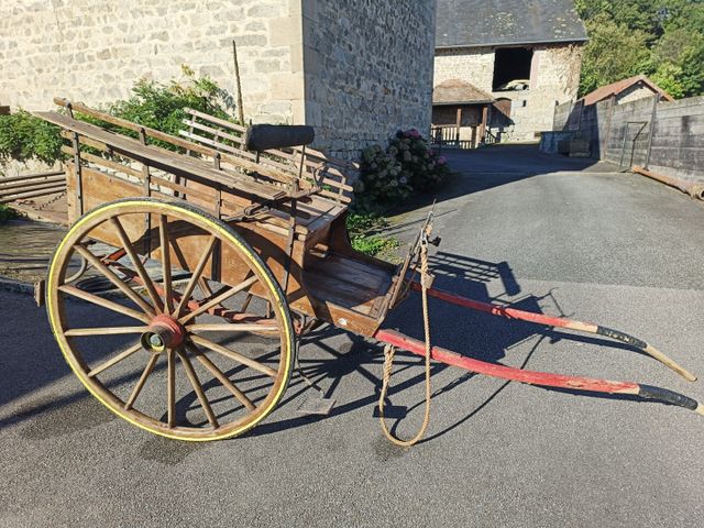 Véhicule hippomobile deux roues. Vendu sur désignation à récupére...