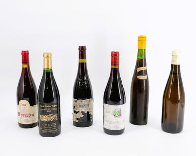 6 B Varia : 1 B Morgon René Dufour 2004 + 1 B Chinon Sourdai…