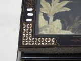 a black and gold box with a picture of a plant on it