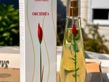 an image of a bottle of perfume sitting on top of a cardboard box