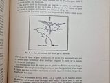an open book with a drawing of a bird on it
