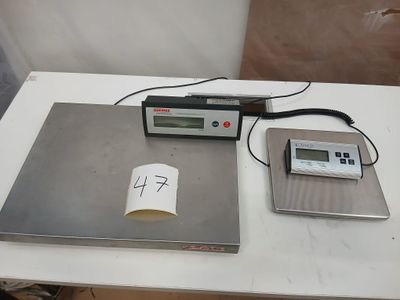Lot de deux balances électroniques professionnelles comprena…