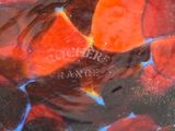 a glass bowl that has a red and blue design on it