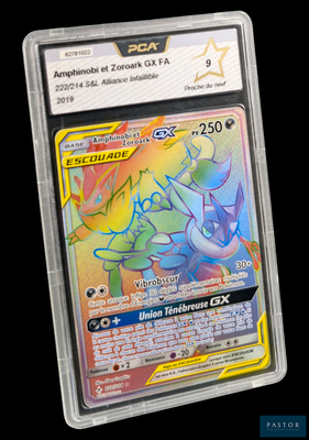 une image d'une carte Pokémon dans un étui en plastique