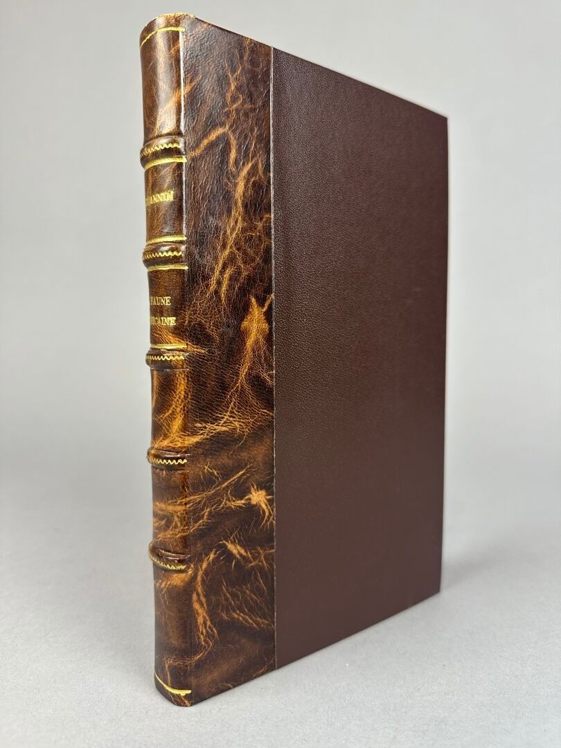 Objets d'art & Curiosités