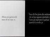 Photo 1/2 du lot