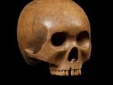 a close up of a human skull on a black background