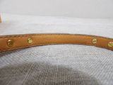 leather dog collar with rivets and brass studs on a white background