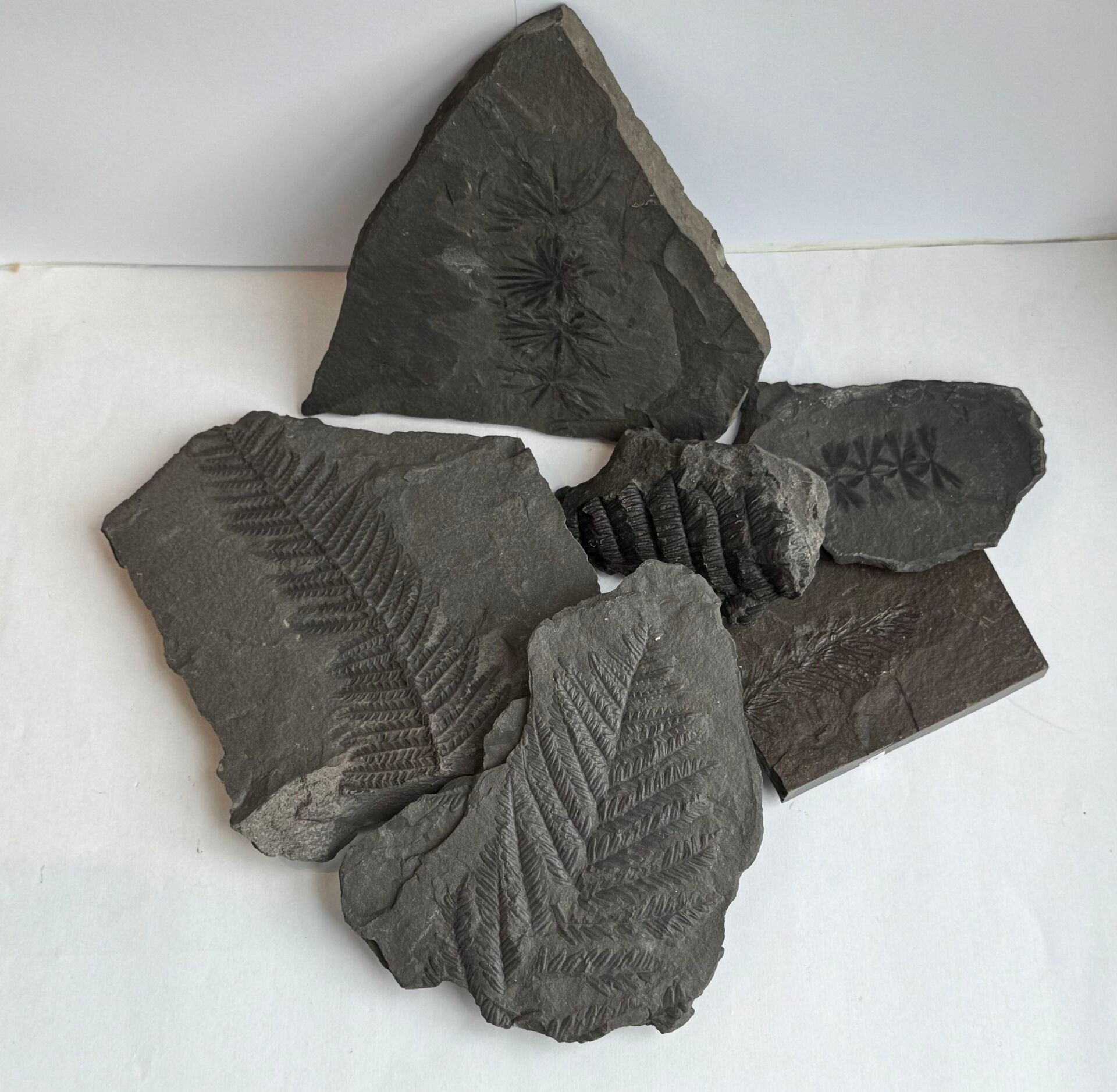 Objets d'art & Curiosités