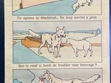 quatre photos de chevaux galopant sur la plage