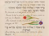 a close up of a piece of paper with writing on it
