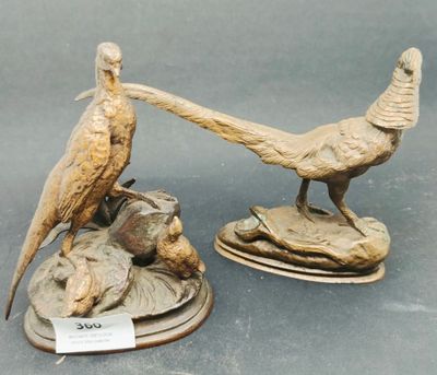 deux oiseaux posés sur une assiette
