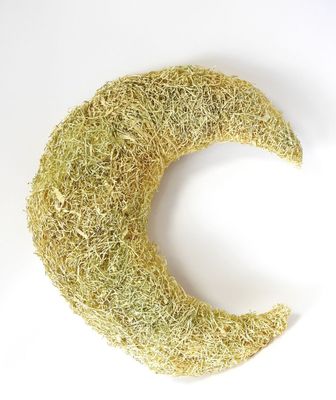 un brin d'herbe en forme de croissant
