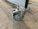 an image of a close up of a casteor on the ground