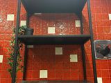 a shelf that has a plant on it in a room