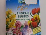 un gros plan sur un bouquet de fleurs posé sur une table