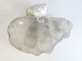 a rock with a piece of silver on top of it