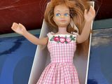 a doll that is in a box on the ground