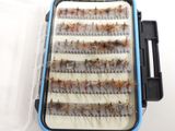 many different types of flies in a plastic box