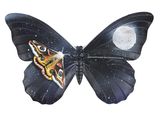 a butterfly with a picture of a cat on it ' s wings
