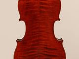 the back of a violin with a wooden body and back of a violin