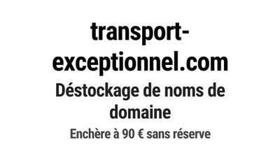 Nom de domaine transport-exceptionnel.