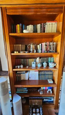 une grande bibliothèque en bois sur laquelle sont posés de nombreux livres