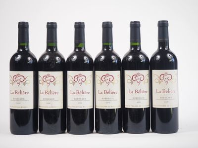 six bouteilles de vin rouge alignées sur une surface blanche